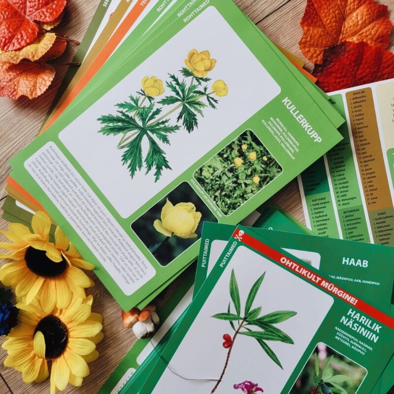 Õppekaardid "111 Eesti taime ja seent"