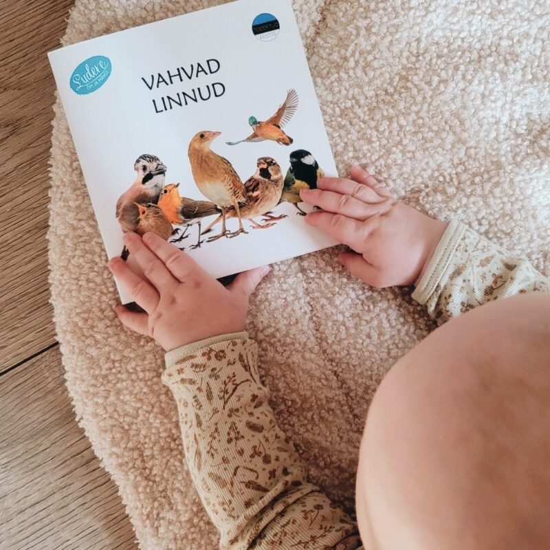 Realistlik raamat "Vahvad linnud"