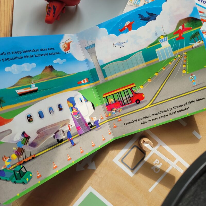 Liikuvate detailidega raamat "Lennuk"