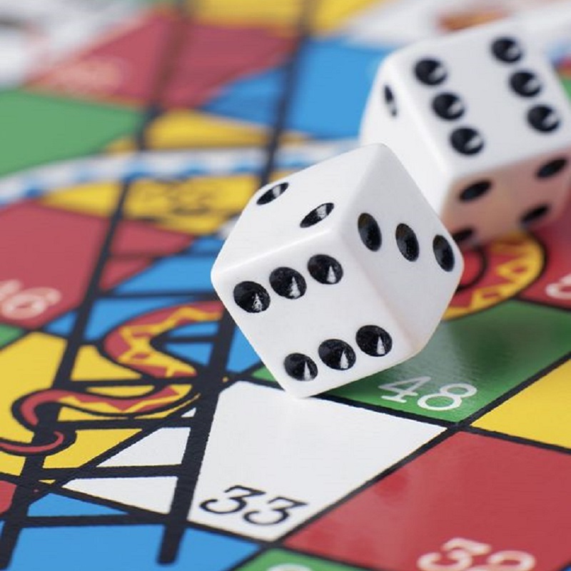 lauamäng ussid redelil ludo lauamängude komplekt