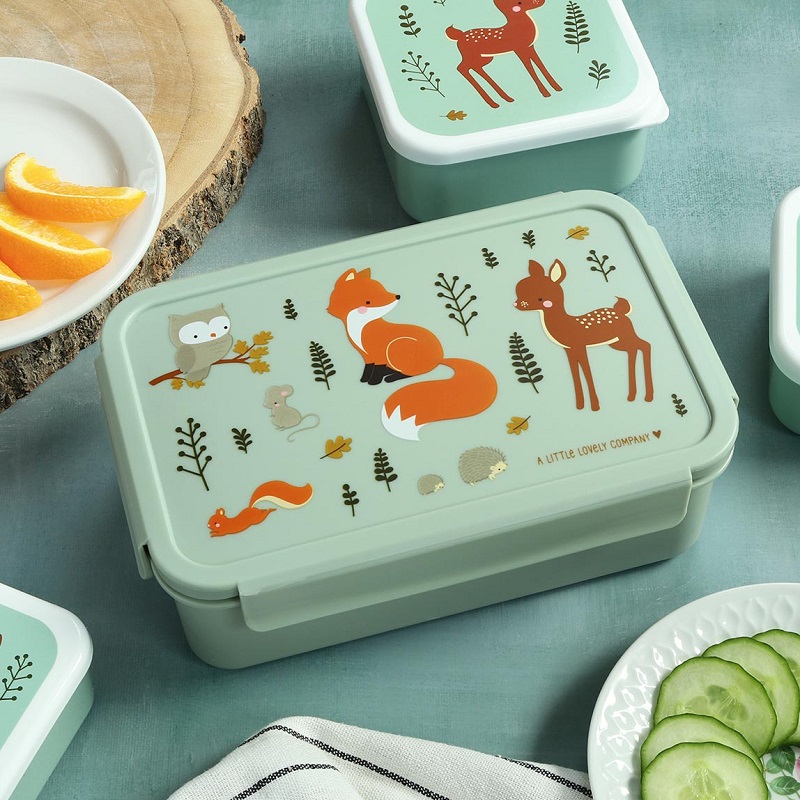 kaasaskantav söögikarp kaanega eemaldatava sisuga lõunasöögikarp toidunõu toidukarp toiduanum