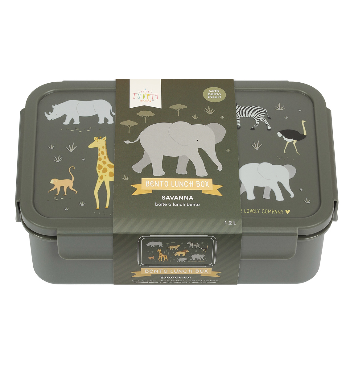 kaasaskantav söögikarp kaanega eemaldatava sisuga lõunasöögikarp toidunõu toidukarp toiduanum