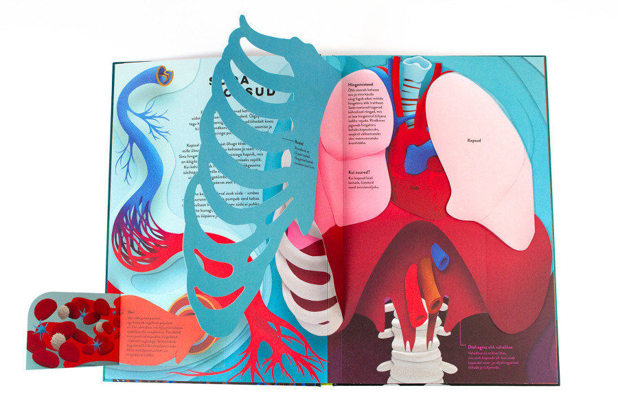 anatoomia raamat bioloogia mis on peidus naha all keha