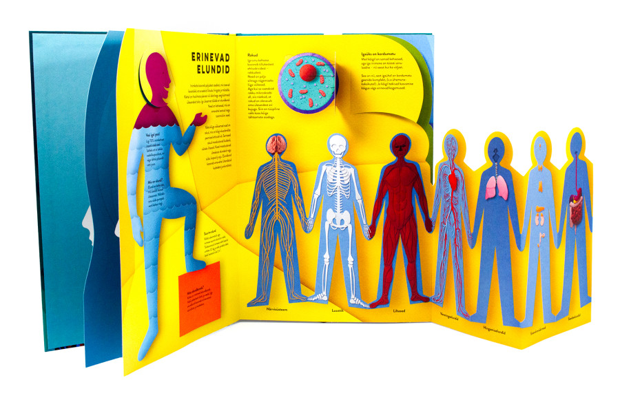 anatoomia raamat bioloogia mis on peidus naha all keha