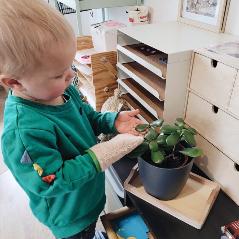 Laste pesukinnas (erinevad toonid!)