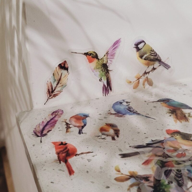 Realistlikud läbipaistva taustaga kleepsud, 40 tk, linnud