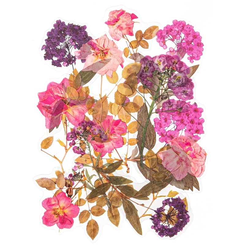 taimekleepsud taimed oksad kõrred realistlikud kleepsud botaanika bioloogia metsalilled metstaimed kleepekad kleebised lilled õied hortensia roos