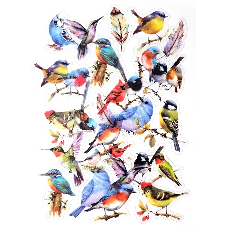 linnukleepsud realistlikud kleepsud botaanika bioloogia kevadlinnud linnuhääled kleepekad kleebised