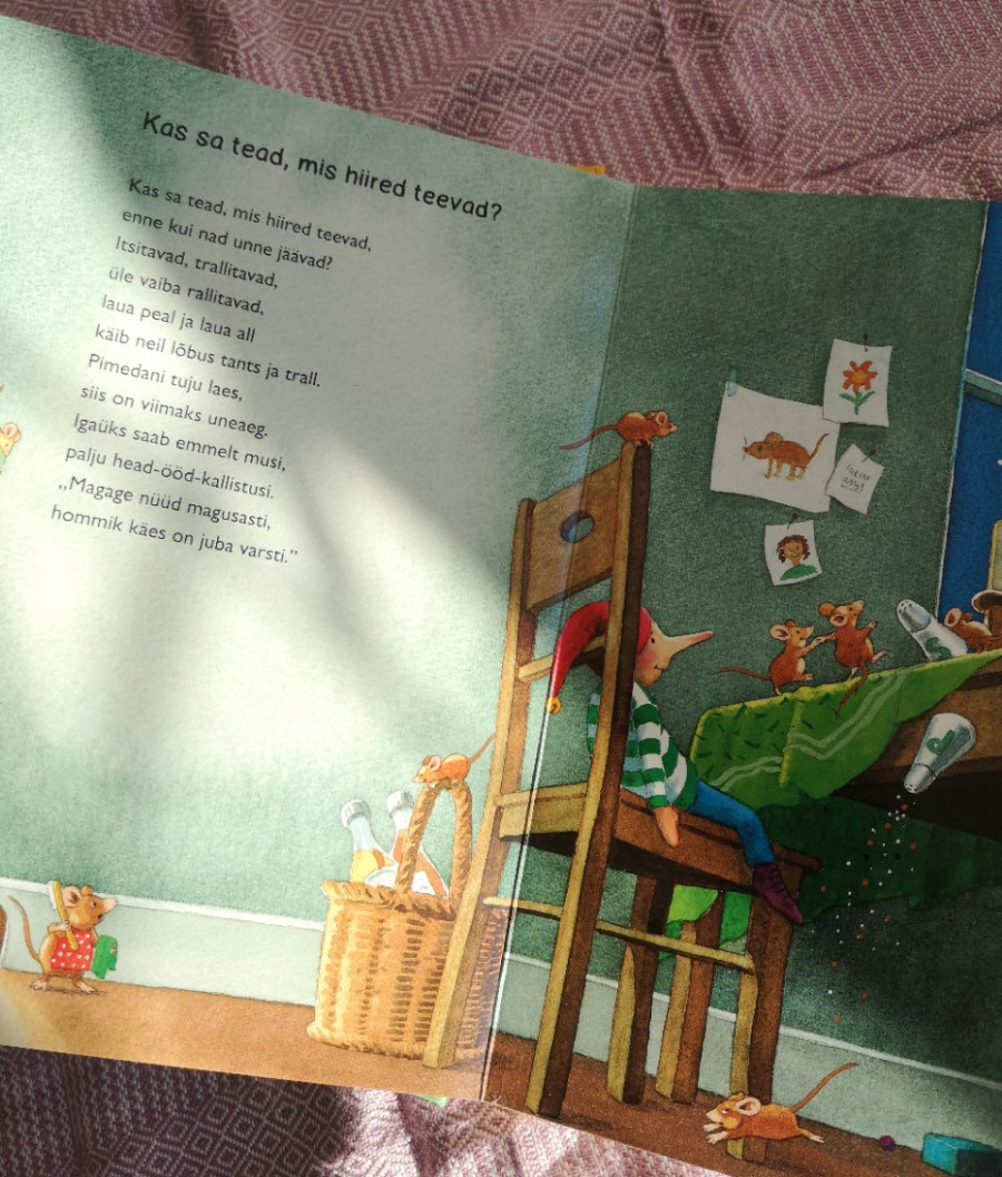 pappraamat kõvade lehtedega raamat maga magusasti unejutud lastele luuletused katsikukingitus