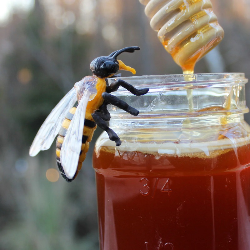 mesilase eluring realistlikud loomafiguurid loomakujukesed bioloogia