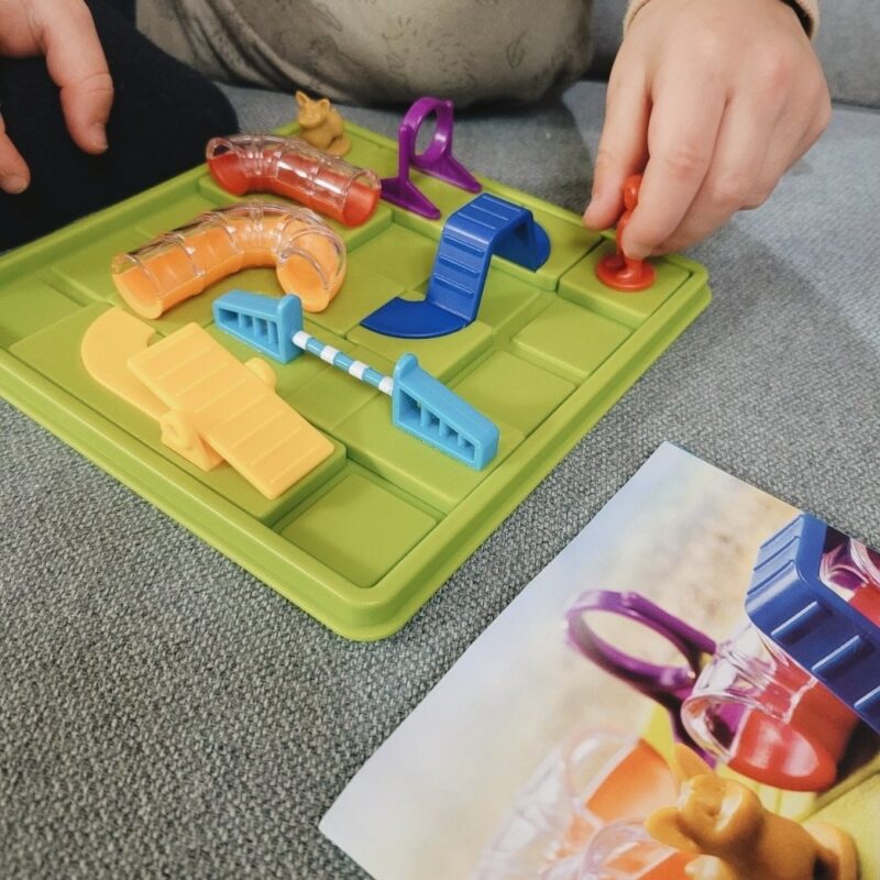 Nutikas loogikamäng kaasaskantavas karbis "Koertekool", 5a+