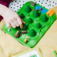 smartgames loogikamäng muinasjutumäng lauamäng mida kinkida lapsele ühele mängijale reisile kaasa karud metsas eesti loodus smartgames loogikamäng muinasjutumäng lauamäng mida kinkida lapsele ühele mängijale reisile kaasa karud metsas eesti loodus