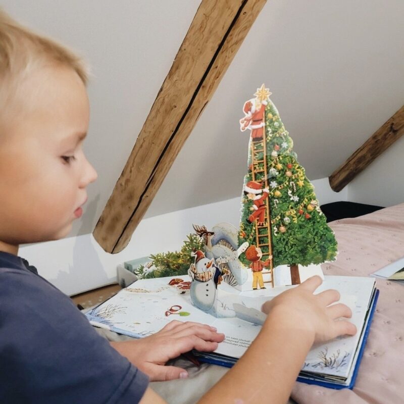 Ruumiline raamat "Imelised jõulud"