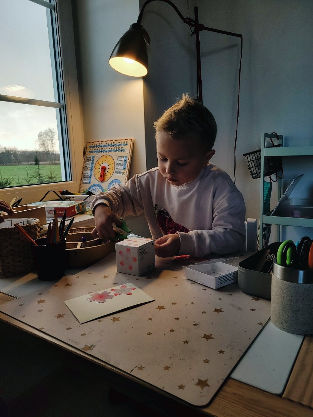 1000080799.jpg 1000080799.jpg