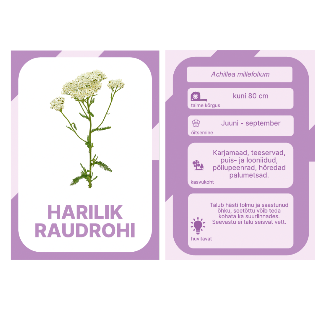 nupu õppekaardid eesti niidulilled metsalilled metsataimed kevadlilled loomakaardid lillekaardid loodusõpetus õppematerjalid