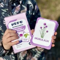 nupu õppekaardid eesti niidulilled metsalilled metsataimed kevadlilled loomakaardid lillekaardid loodusõpetus õppematerjalid nupu õppekaardid eesti niidulilled metsalilled metsataimed kevadlilled loomakaardid lillekaardid loodusõpetus õppematerjalid