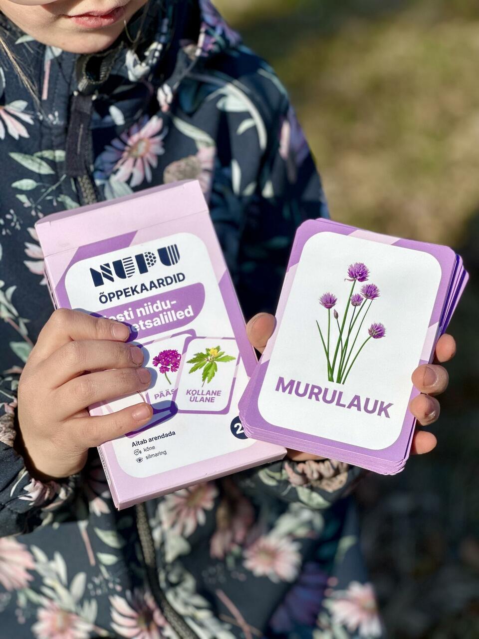 nupu õppekaardid eesti niidulilled metsalilled metsataimed kevadlilled loomakaardid lillekaardid loodusõpetus õppematerjalid