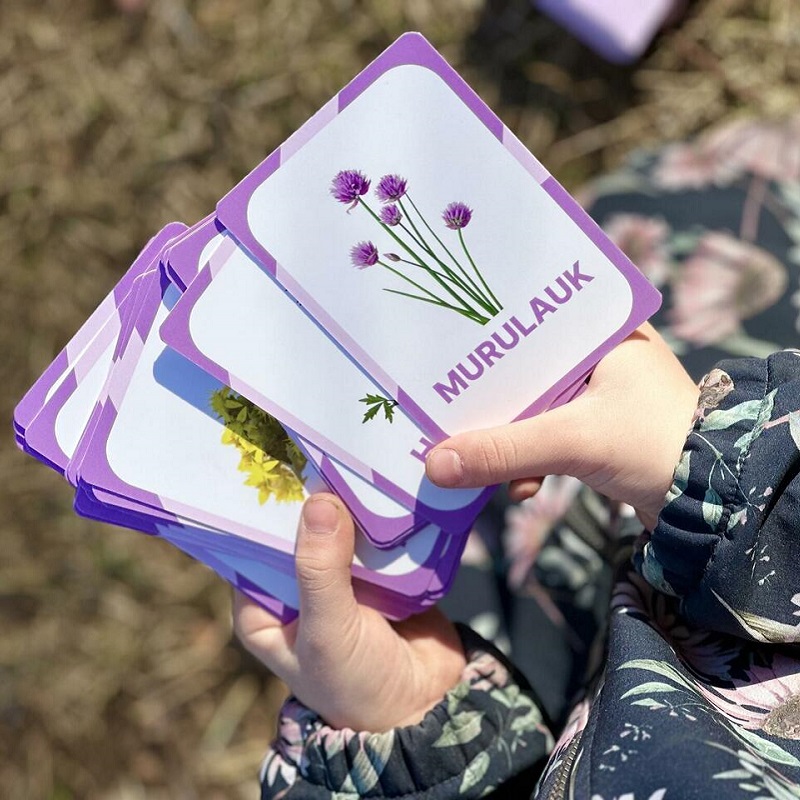 nupu õppekaardid eesti niidulilled metsalilled metsataimed kevadlilled loomakaardid lillekaardid loodusõpetus õppematerjalid