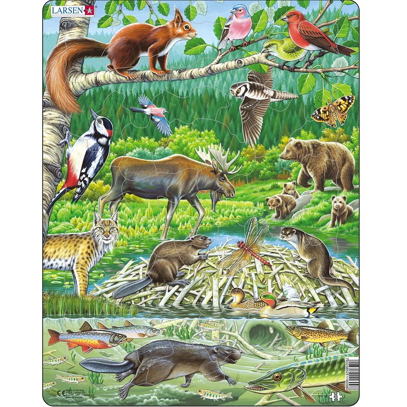 Larsen realistlik Montessori pusle Põhja-Euroopa mets metsloomad päris elu