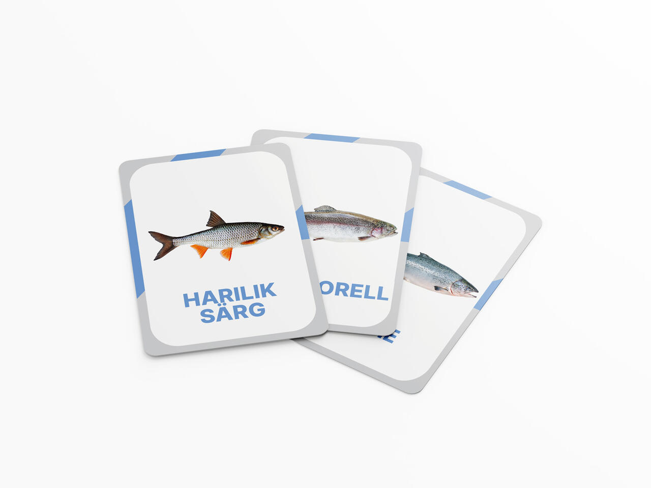 nupu õppekaardid kala eesti kalad loomakaardid kalakaardid loodusõpetus õppematerjalid