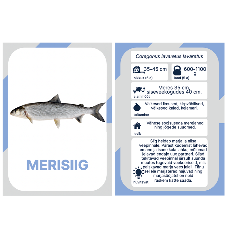 nupu õppekaardid kala eesti kalad loomakaardid kalakaardid loodusõpetus õppematerjalid