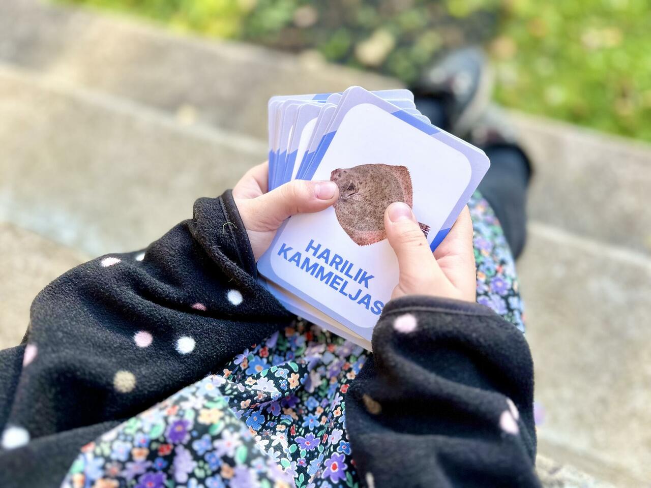 nupu õppekaardid kala eesti kalad loomakaardid kalakaardid loodusõpetus õppematerjalid