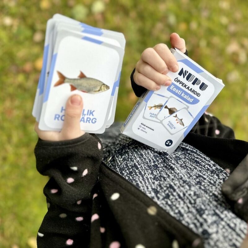 nupu õppekaardid kala eesti kalad loomakaardid kalakaardid loodusõpetus õppematerjalid