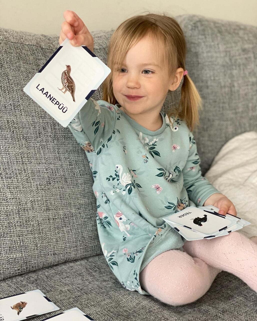 nupu õppekaardid lind eesti linnud loomakaardid linnukaardid loodusõpetus õppematerjalid