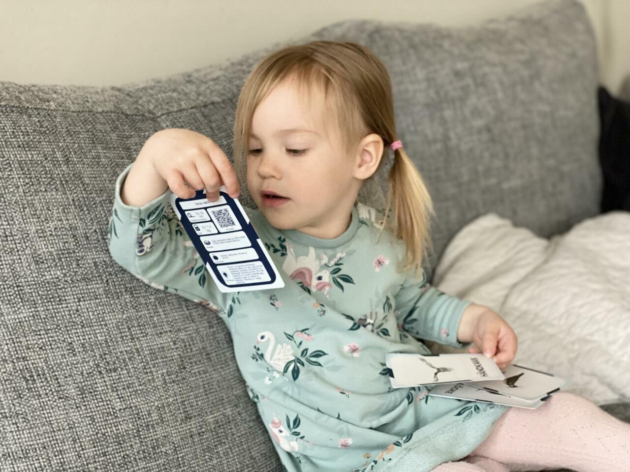 nupu õppekaardid lind eesti linnud loomakaardid linnukaardid loodusõpetus õppematerjalid