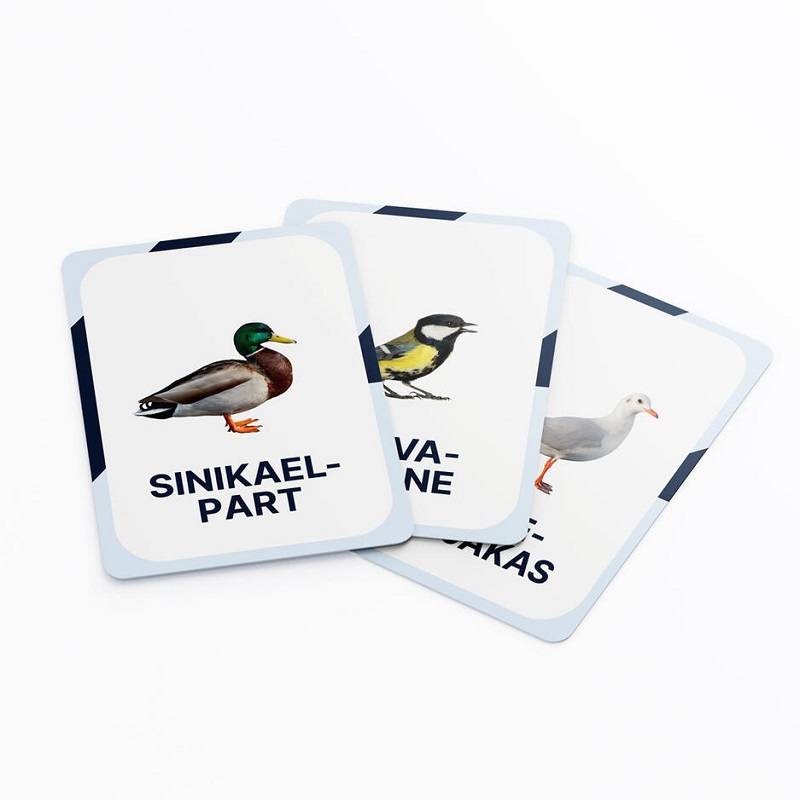 nupu õppekaardid lind eesti linnud loomakaardid linnukaardid loodusõpetus õppematerjalid