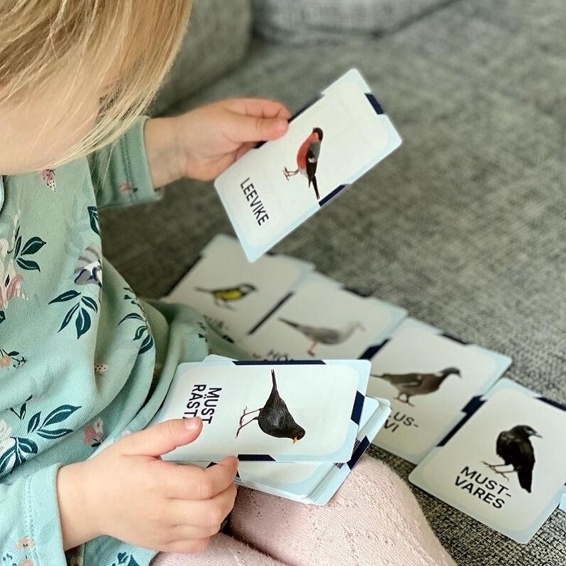 nupu õppekaardid lind eesti linnud loomakaardid linnukaardid loodusõpetus õppematerjalid