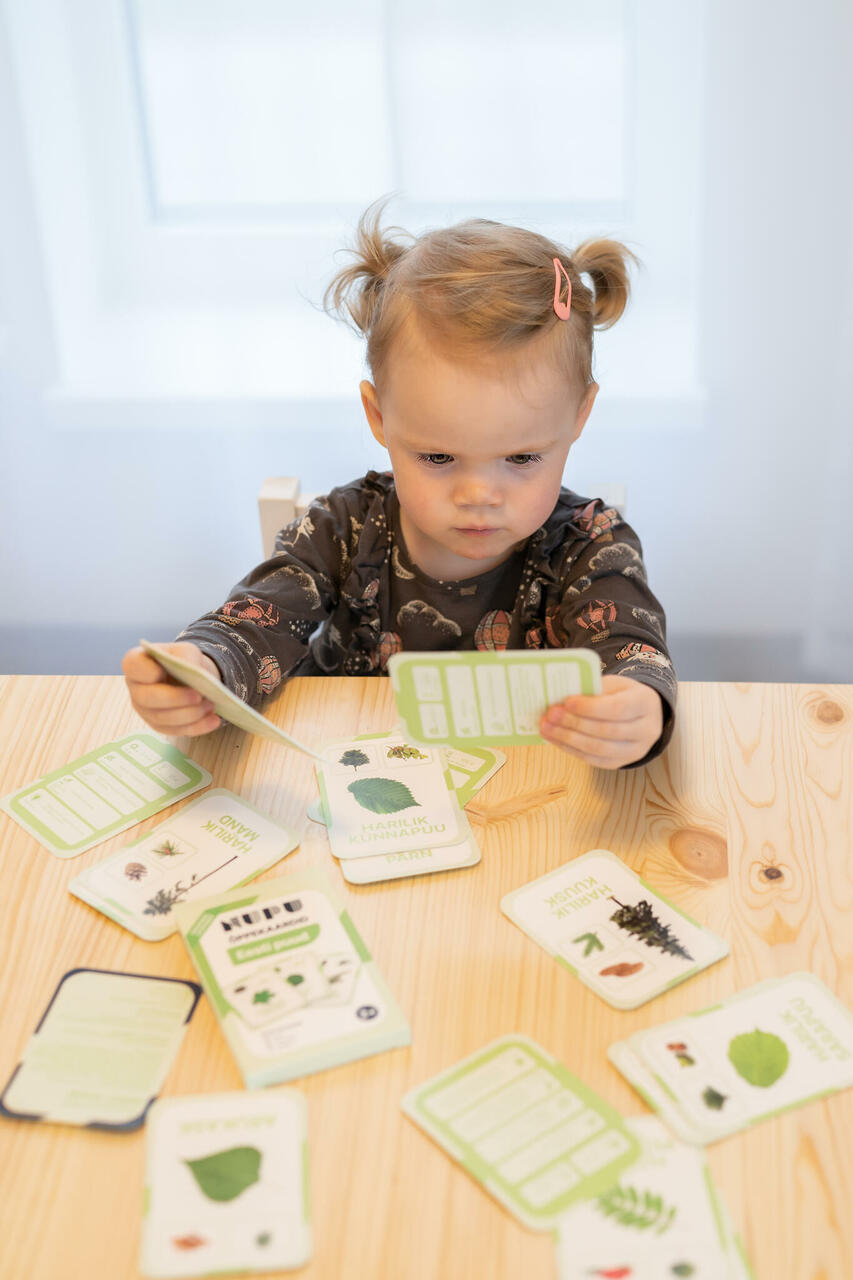 nupu õppekaardid eesti taimed puud loomakaardid puukaardid loodusõpetus õppematerjalid