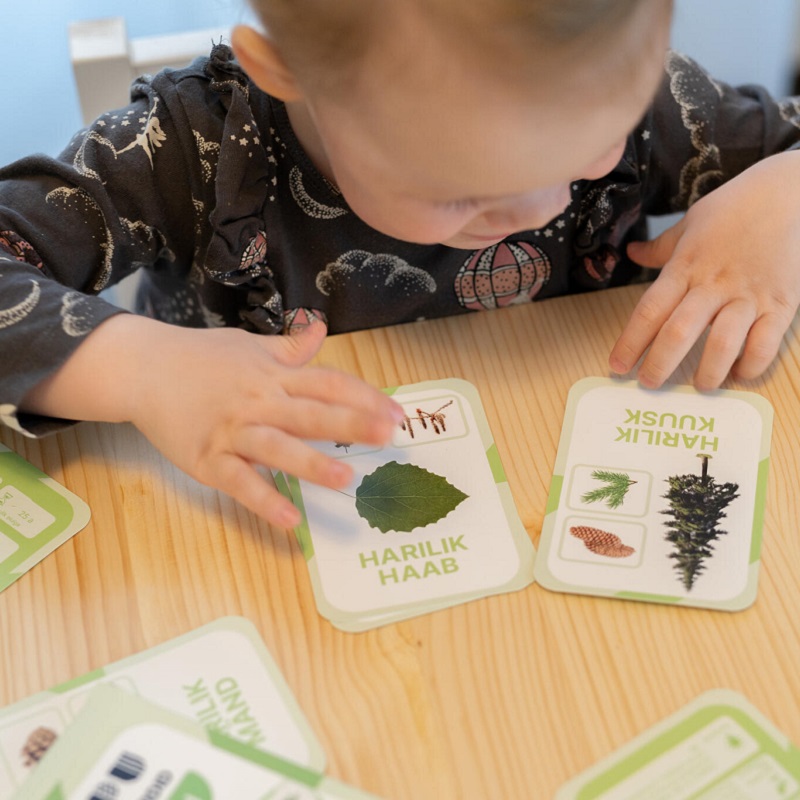 nupu õppekaardid eesti taimed puud loomakaardid puukaardid loodusõpetus õppematerjalid