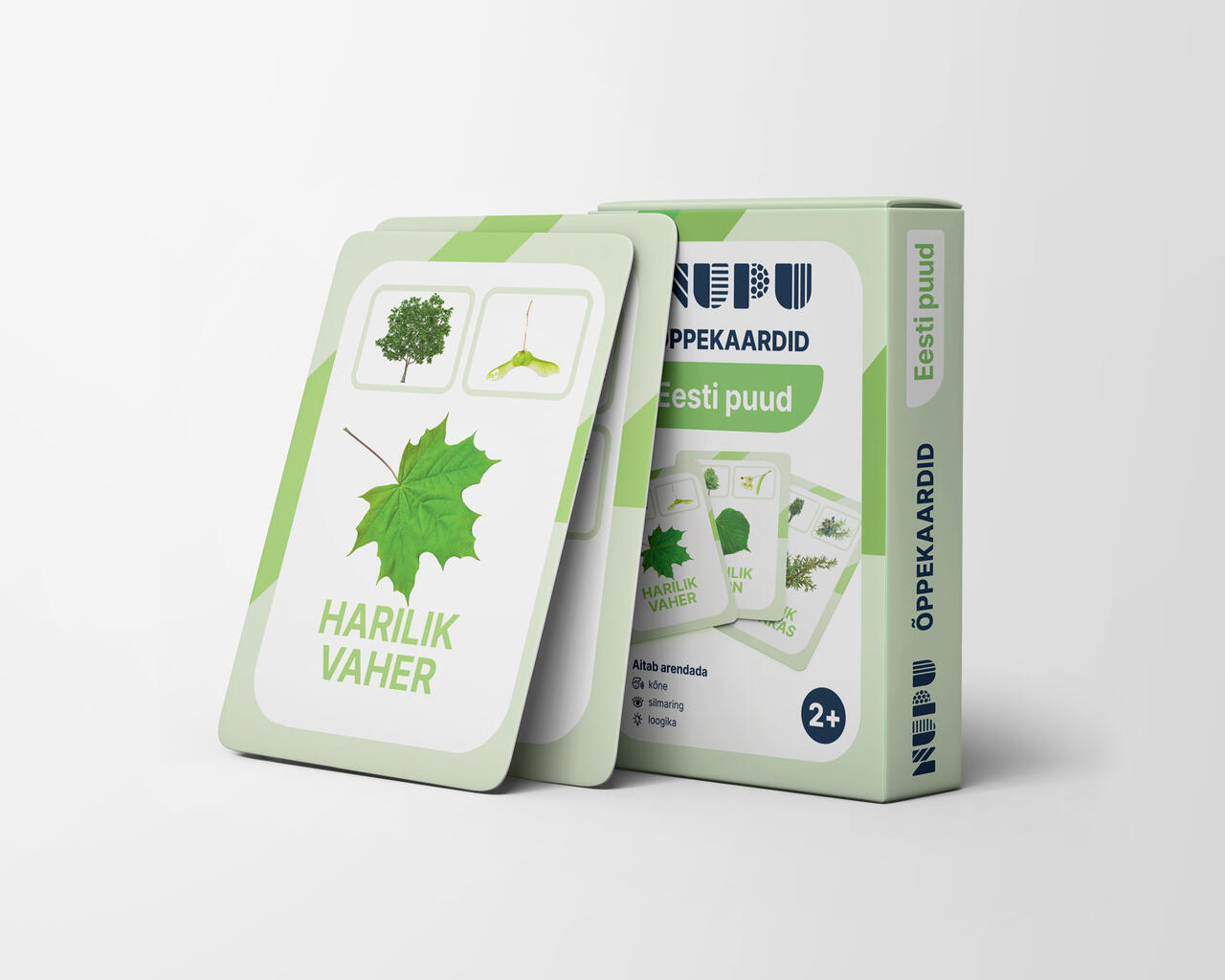 nupu õppekaardid eesti taimed puud loomakaardid puukaardid loodusõpetus õppematerjalid