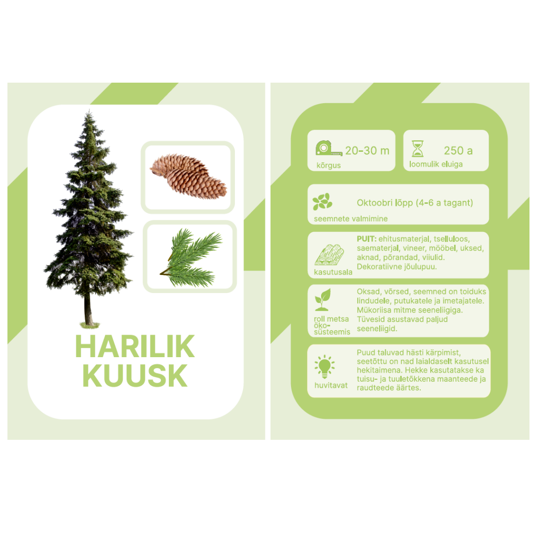 nupu õppekaardid eesti taimed puud loomakaardid puukaardid loodusõpetus õppematerjalid