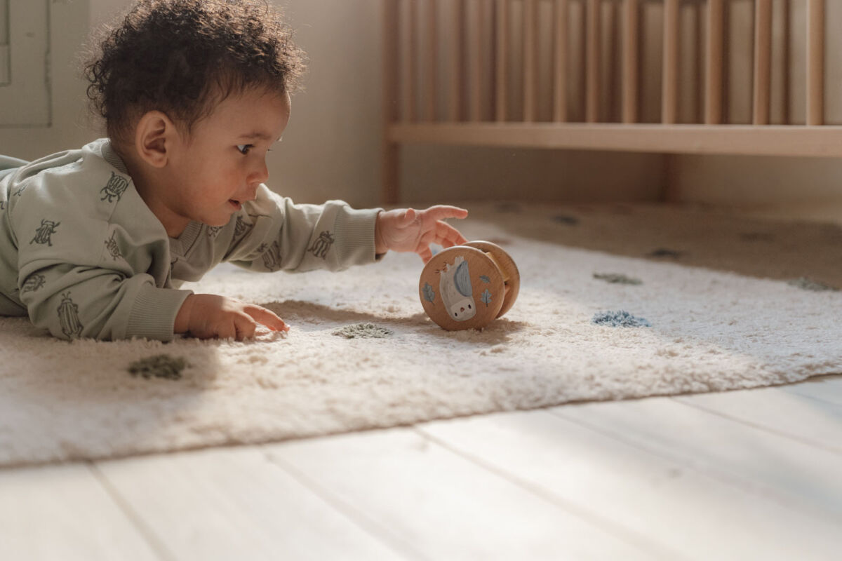 little dutch kinkekomplekt katsikuks beebile jõulukink kingiidee kõristi veerev puur kellukesega ladumistorn motoorikakeskus ratastel puidust mänguasjad little dutch kinkekomplekt katsikuks beebile jõulukink kingiidee kõristi veerev puur kellukesega ladumistorn motoorikakeskus ratastel puidust mänguasjad