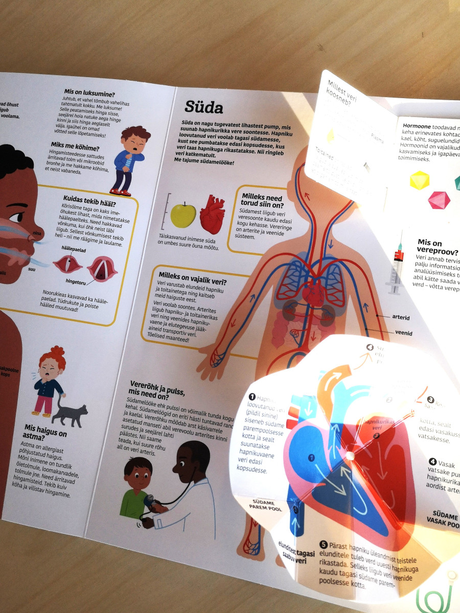 60 liikuvat klappi ja detaili inimkeha uurimiseks klapiraamatus "Avasta inimkeha" – ideaalne õppimiseks ja mängimiseks.