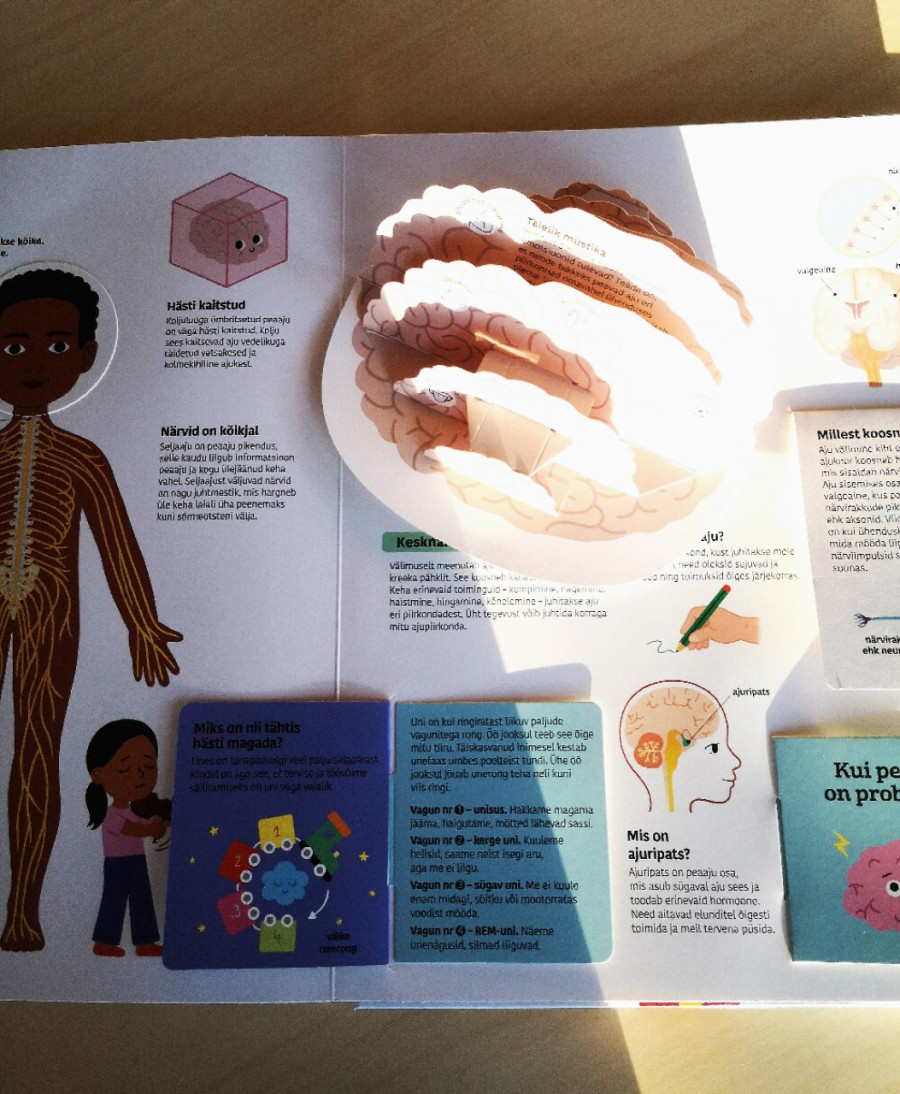 60 liikuvat klappi ja detaili inimkeha uurimiseks klapiraamatus "Avasta inimkeha" – ideaalne õppimiseks ja mängimiseks.