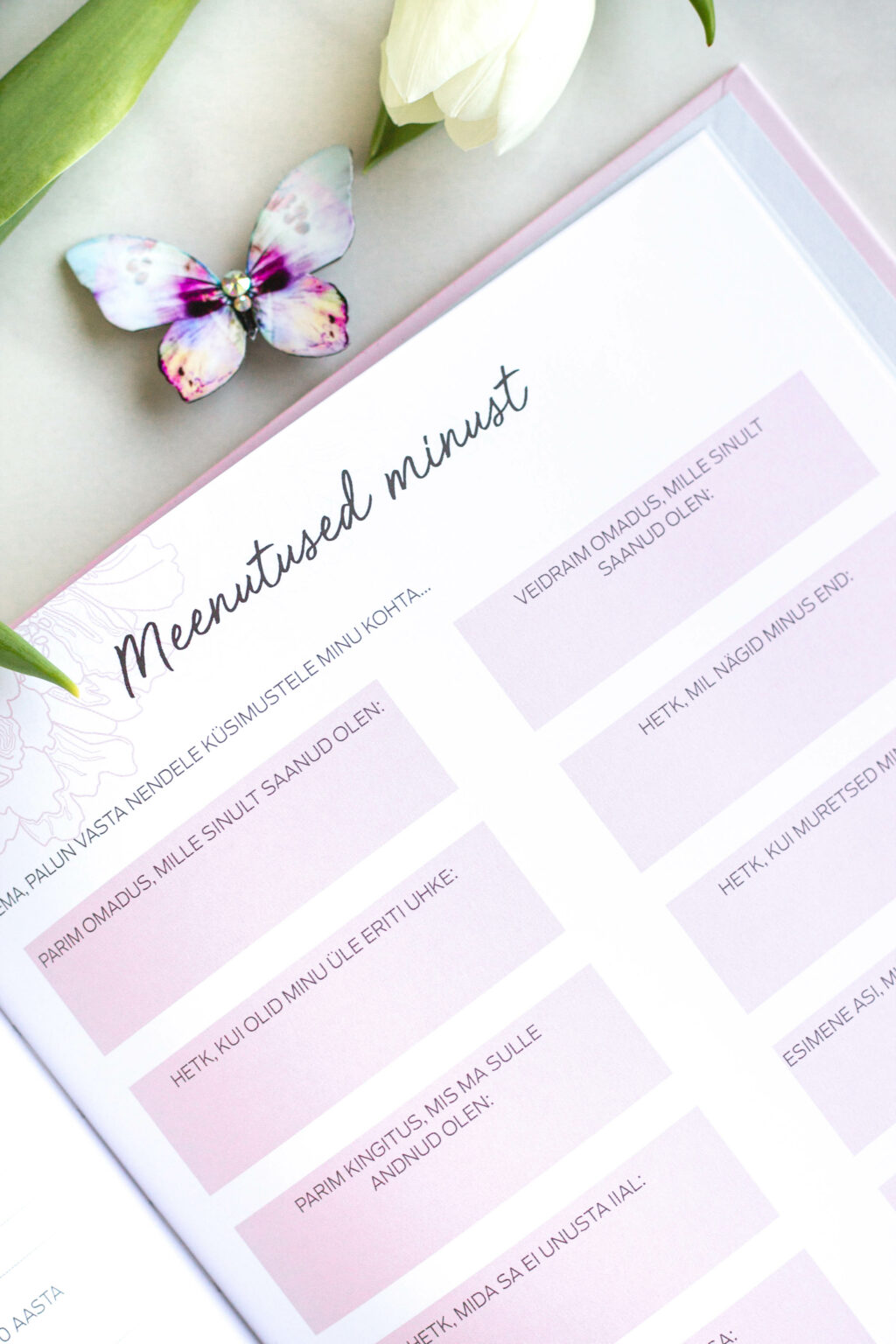 ise täidetav mälestusteraamat – üle 100 küsimuse ema elu jäädvustamiseks