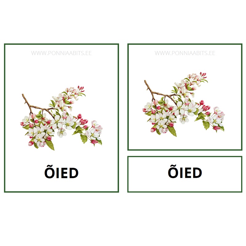 Tasuta kolmeosalised kaardid - õunapuu - www.lapseheaks.ee