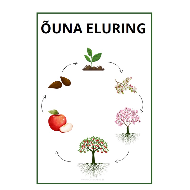 Tasuta kolmeosalised kaardid - õunapuu - www.lapseheaks.ee