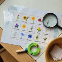 Tasuta mäng - Luubiga lilled - www.lapseheaks.ee