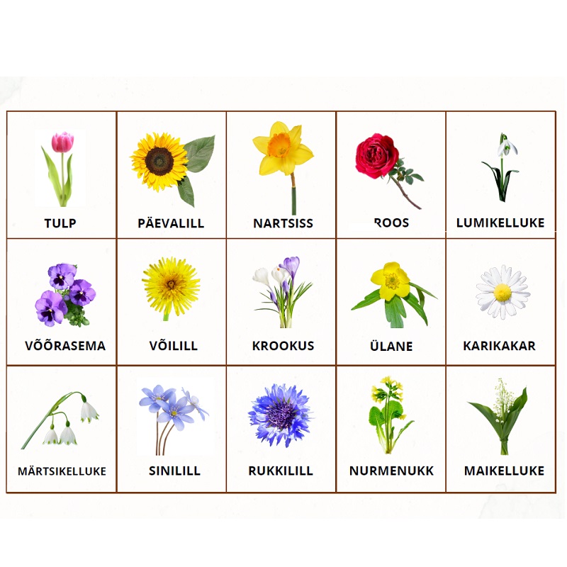 Tasuta mäng - Luubiga lilled - www.lapseheaks.ee