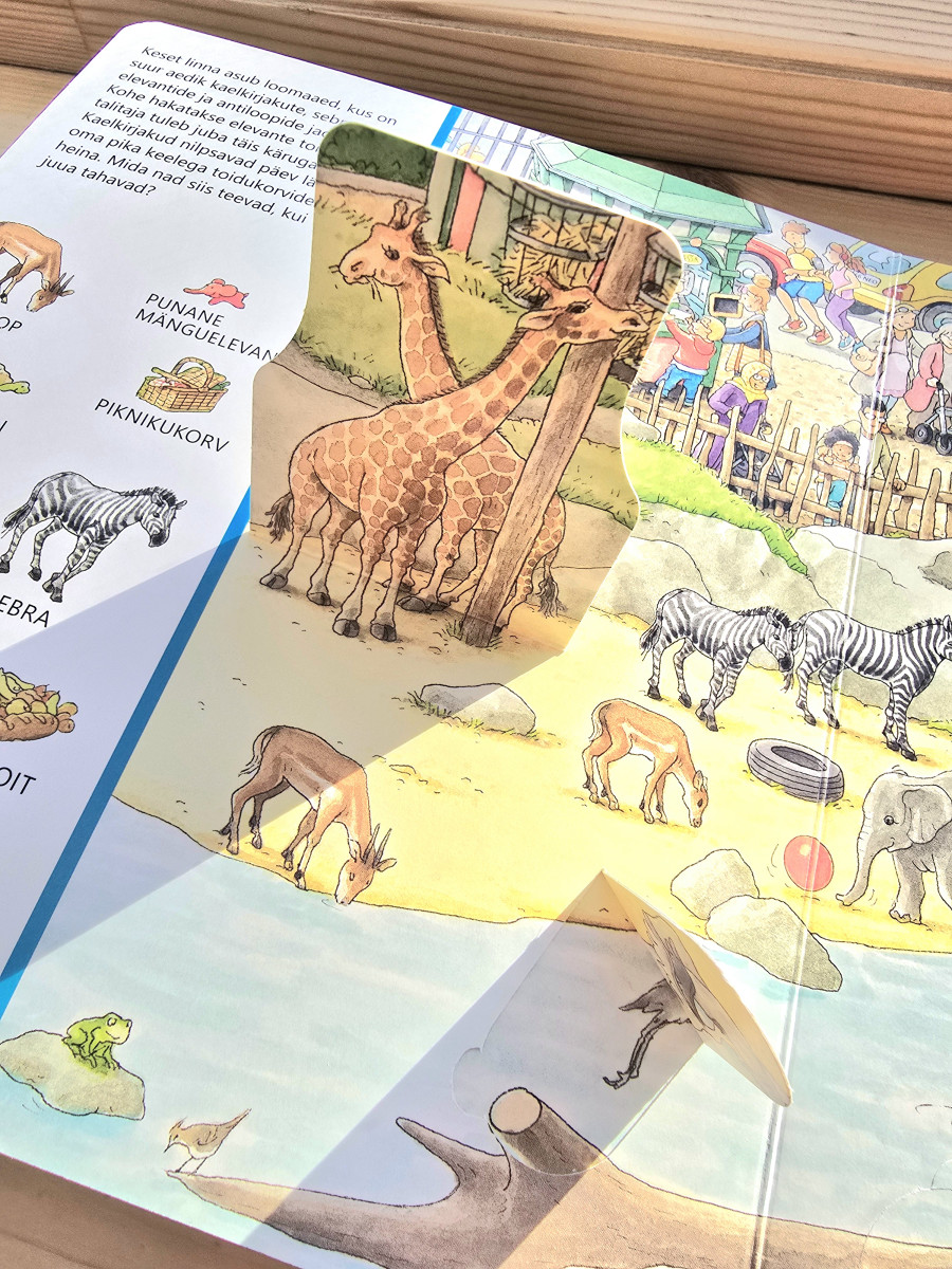 Otsi ja uudista raamatusari linnas klapiraamat kõvade papist lehtedega