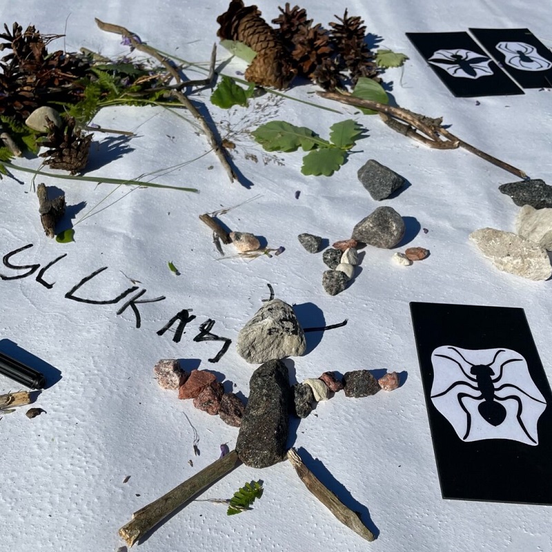 Tasuta mäng - putukate meisterdamine looduses - www.lapseheaks.ee