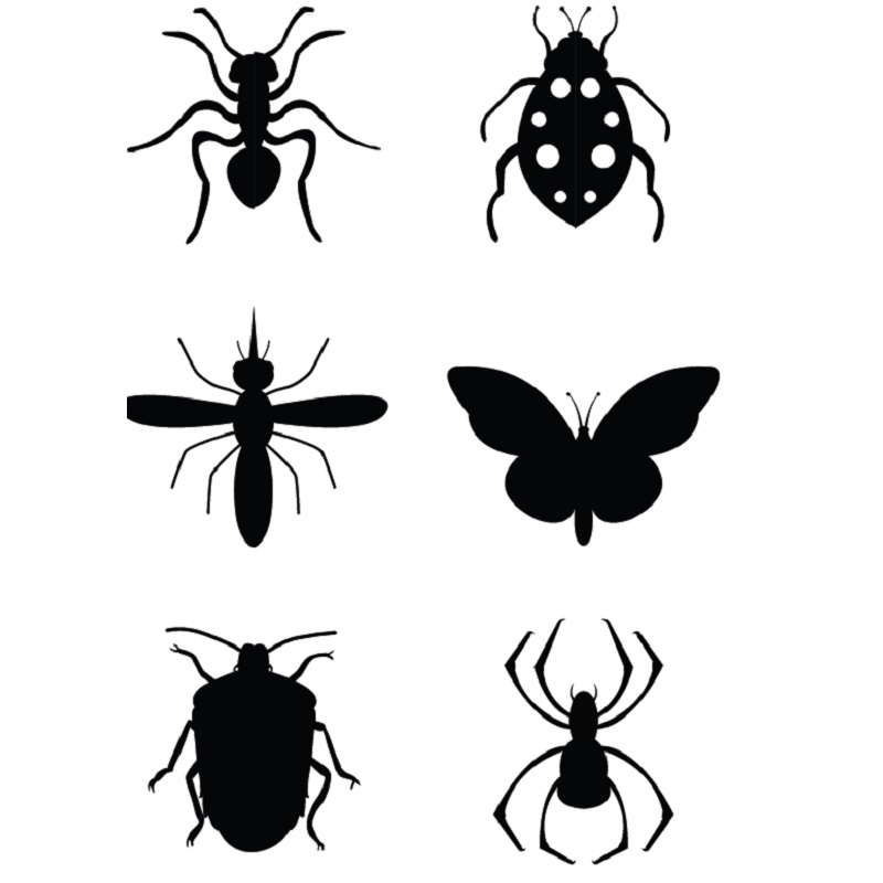 Tasuta mäng - putukate meisterdamine looduses - www.lapseheaks.ee