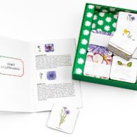 Memoriin looduse ja taimedega – 60 kaarti ja lilleraamat karbis