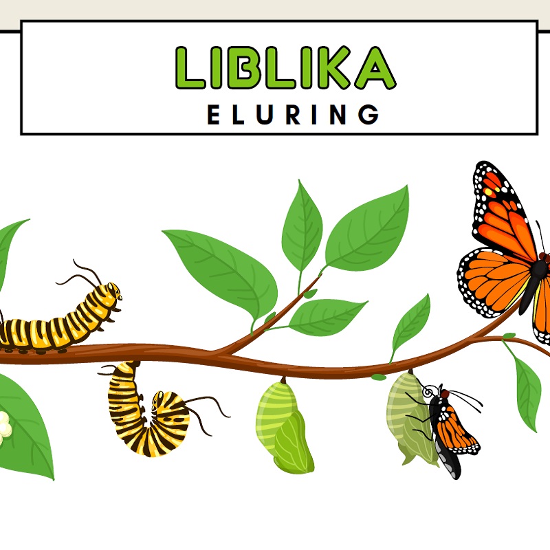 Tasuta plakat allalaadimiseks liblika eluring