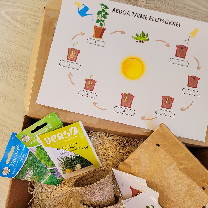 Tasuta plakat - taime elutsükkel - www.lapseheaks.ee