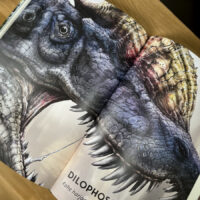 Raamat Elutruud loomad – dinosaurused, kõva kaanega teadusraamat lastele